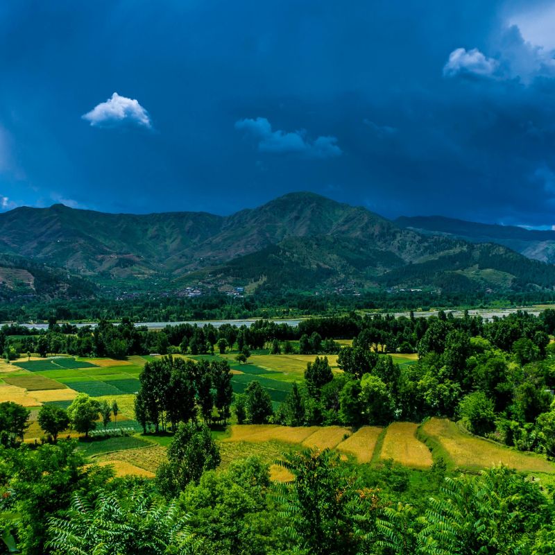 images/insta/Kashmir Tour Package 6 Nights 7 Days 7.jpg